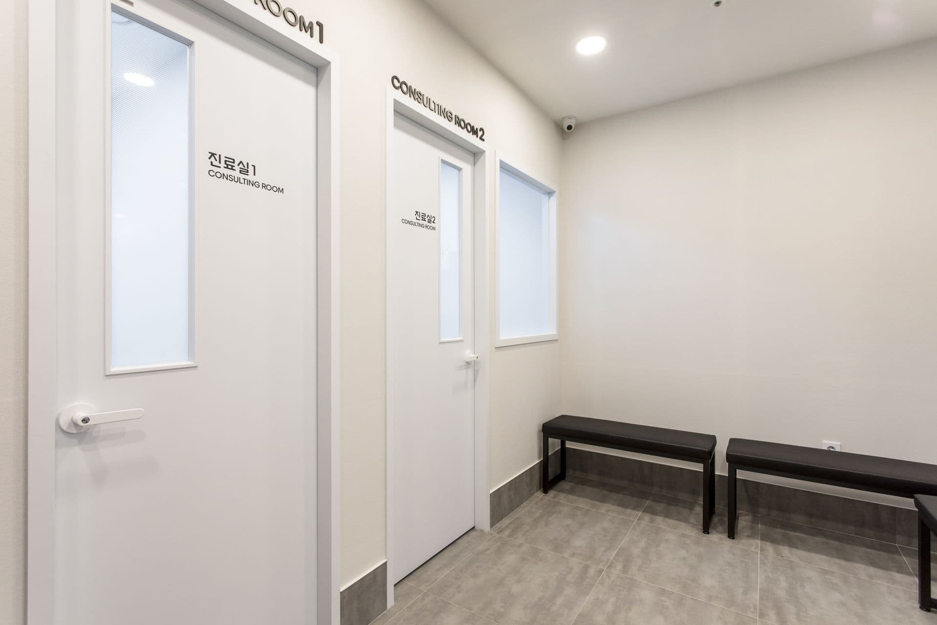 고양이 친화 - 3