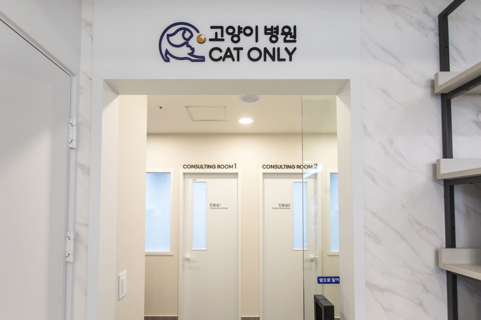 고양이 친화 - 1