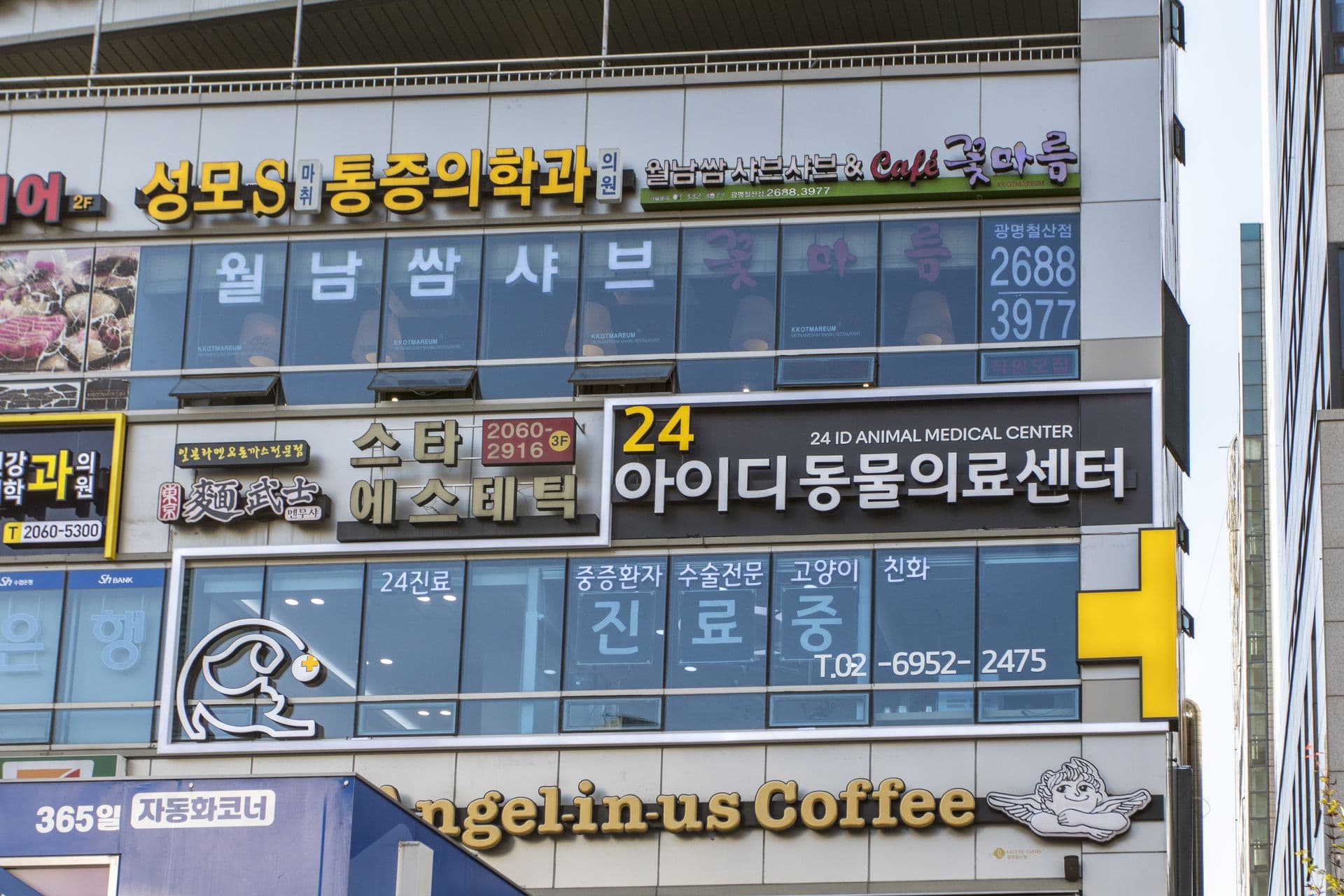 진료시간 · 오시는 길