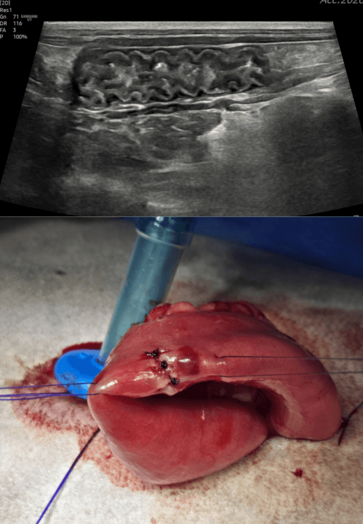 center hero narrative image