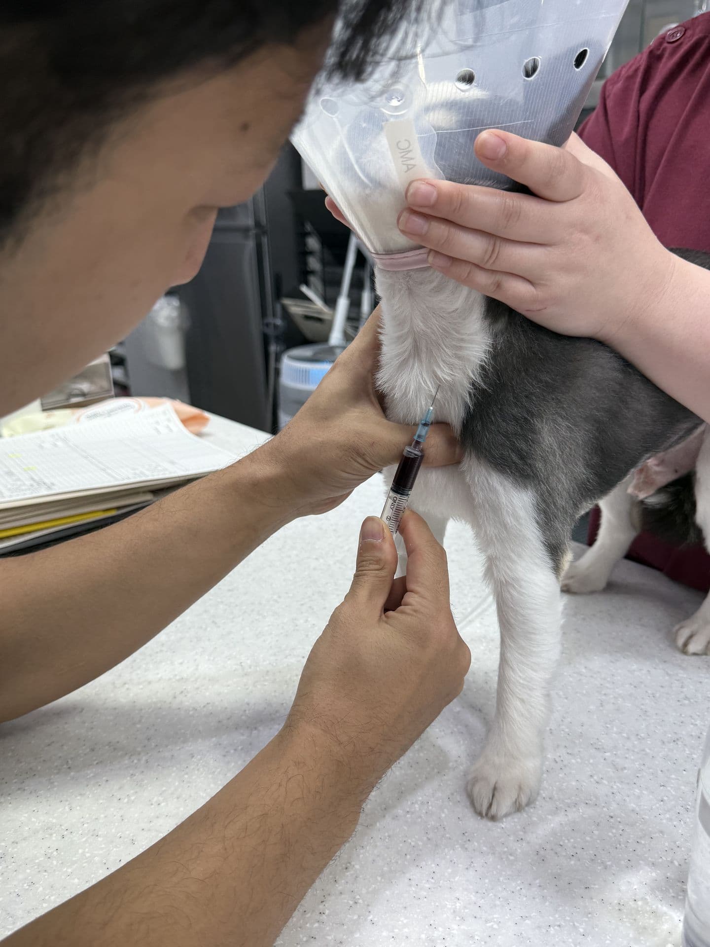 center hero narrative image