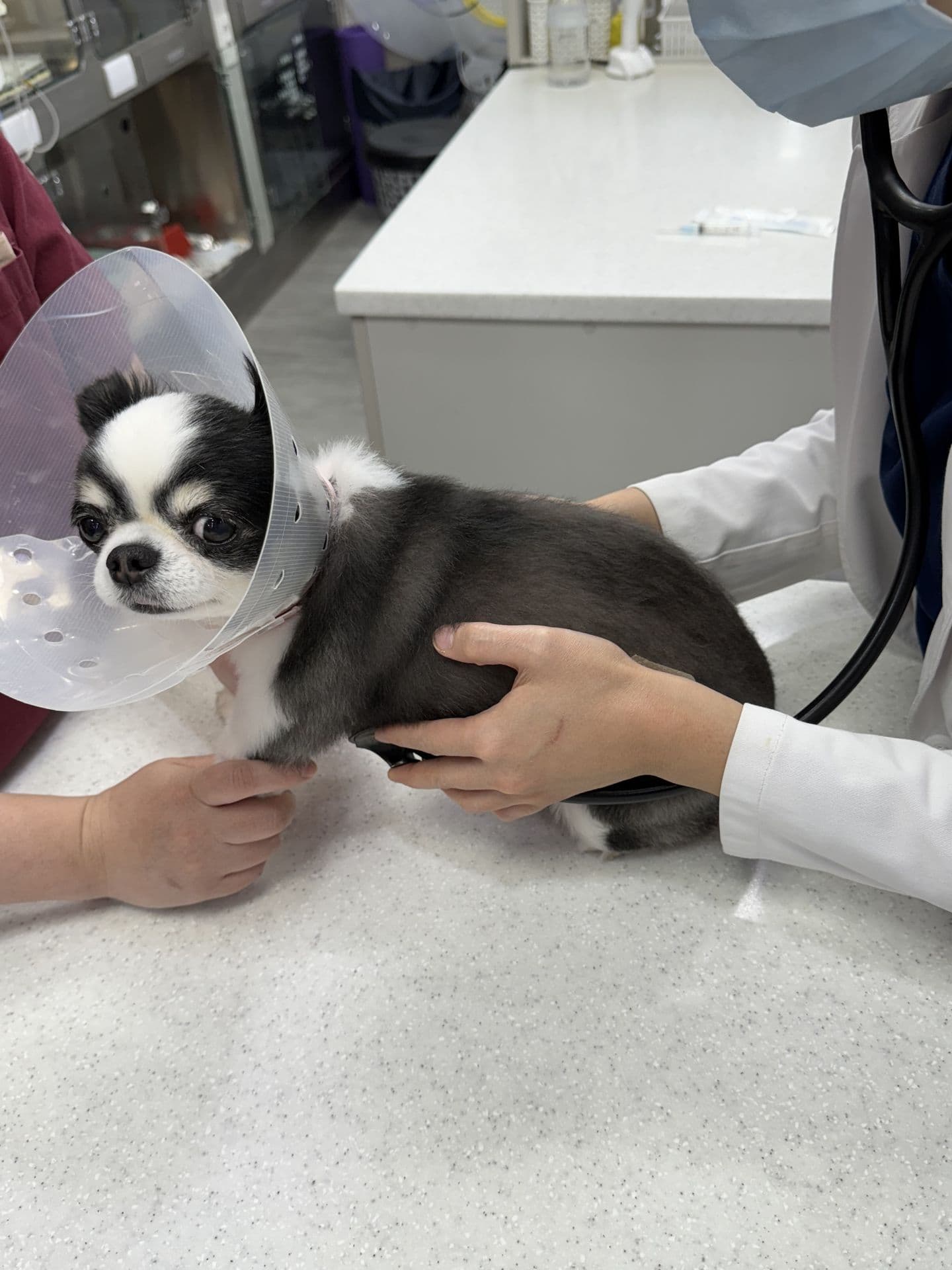 Health Check Process