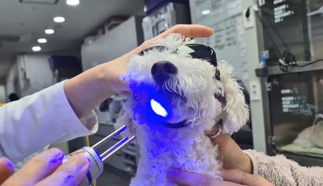 center hero narrative image